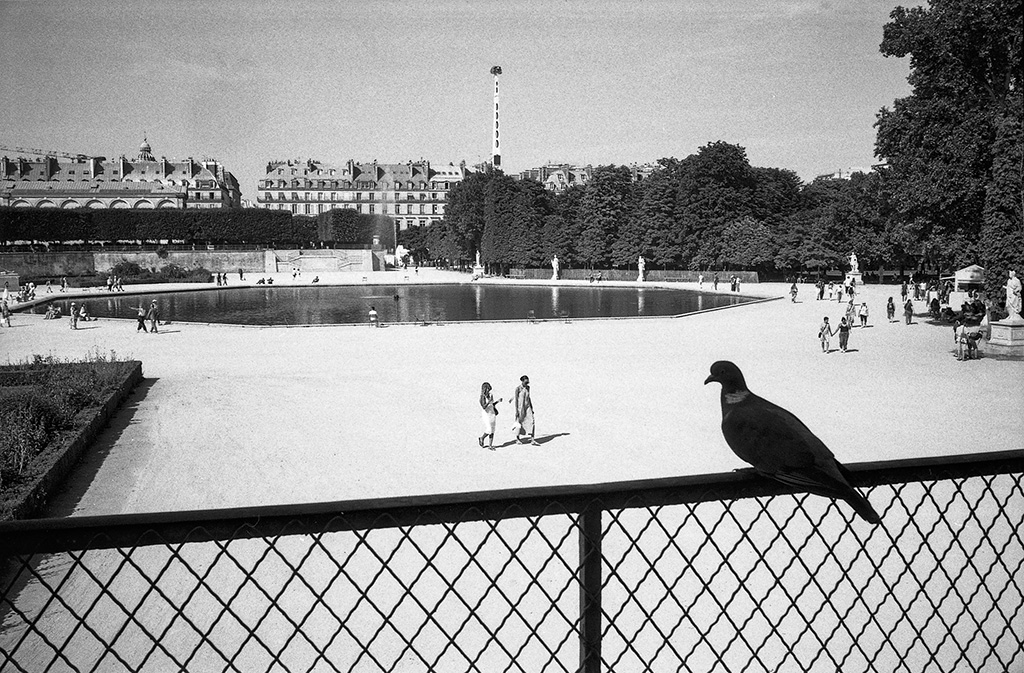 Lire la suite à propos de l’article Les nouveautés dans Photoshop, Lightroom et Capture One ainsi que Dominique SECHER au programme de notre réunion du mercredi 10 décembre 2025