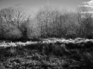 DSCF4752 © Guillaume Mussau